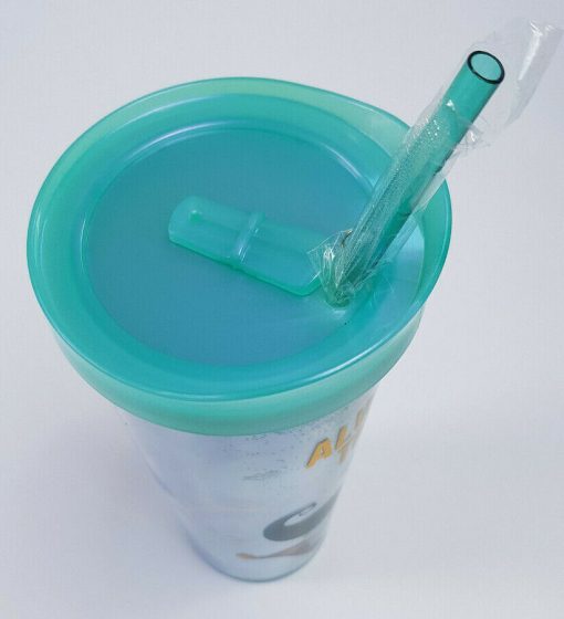 Disney Store Aladdin Princess Jasmine Plastic Tumbler With Straw And Brush