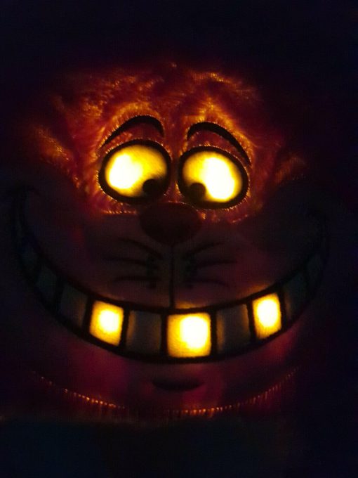 Disneyland Paris Cheshire Cat Light Up Hat