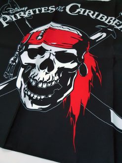 Disneyland Paris Pirates Of The Caribbean Skull & Crossbones Flag