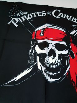 Disneyland Paris Pirates Of The Caribbean Skull & Crossbones Flag