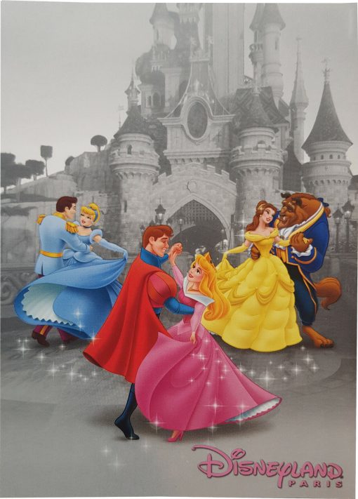 Disneyland Paris Prince & Princess Postcard