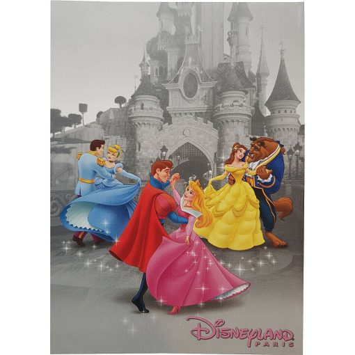 Disneyland Paris Prince & Princess Postcard